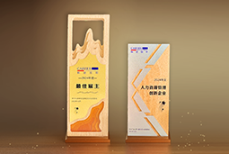 万象城AWC国际一举斩获“2024年度中国区最佳雇主”等多项大奖